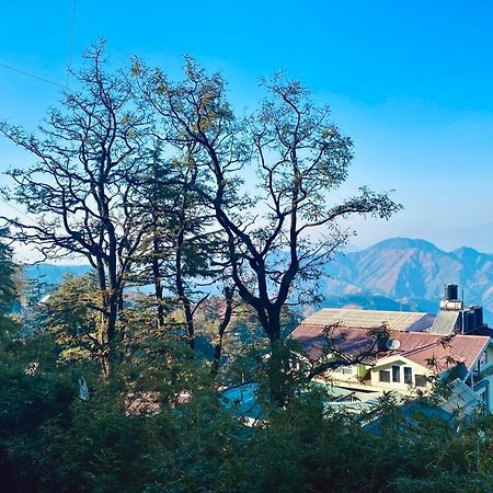 The Travelista Shimla Bed & Breakfast Exterior photo